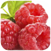 Raspberry